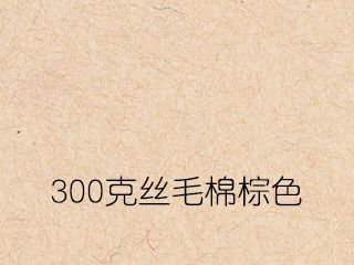 300克丝毛棉棕色